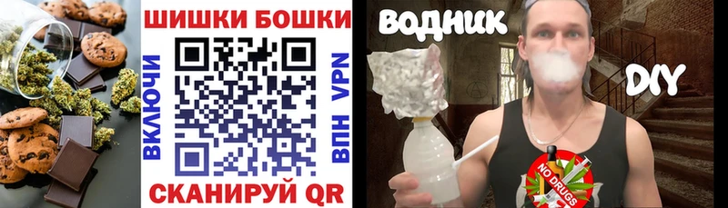 Canna-Cookies конопля Сланцы