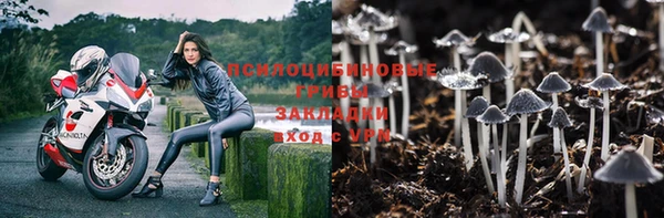 MDMA Premium VHQ Белокуриха