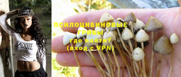 MDMA Premium VHQ Белокуриха