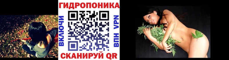 МАРИХУАНА план Сланцы